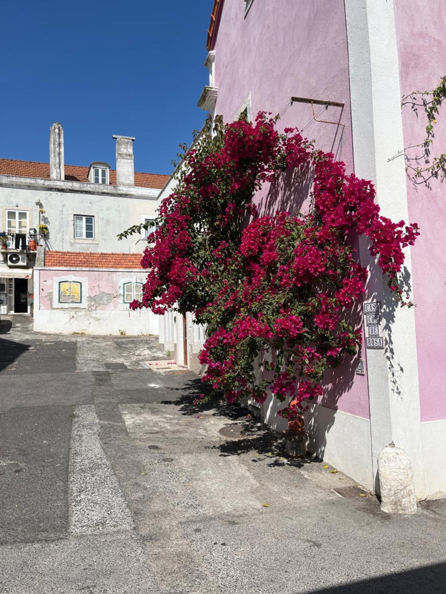 Casa Cor De Rosa Apartment Lisboa Ngoại thất bức ảnh
