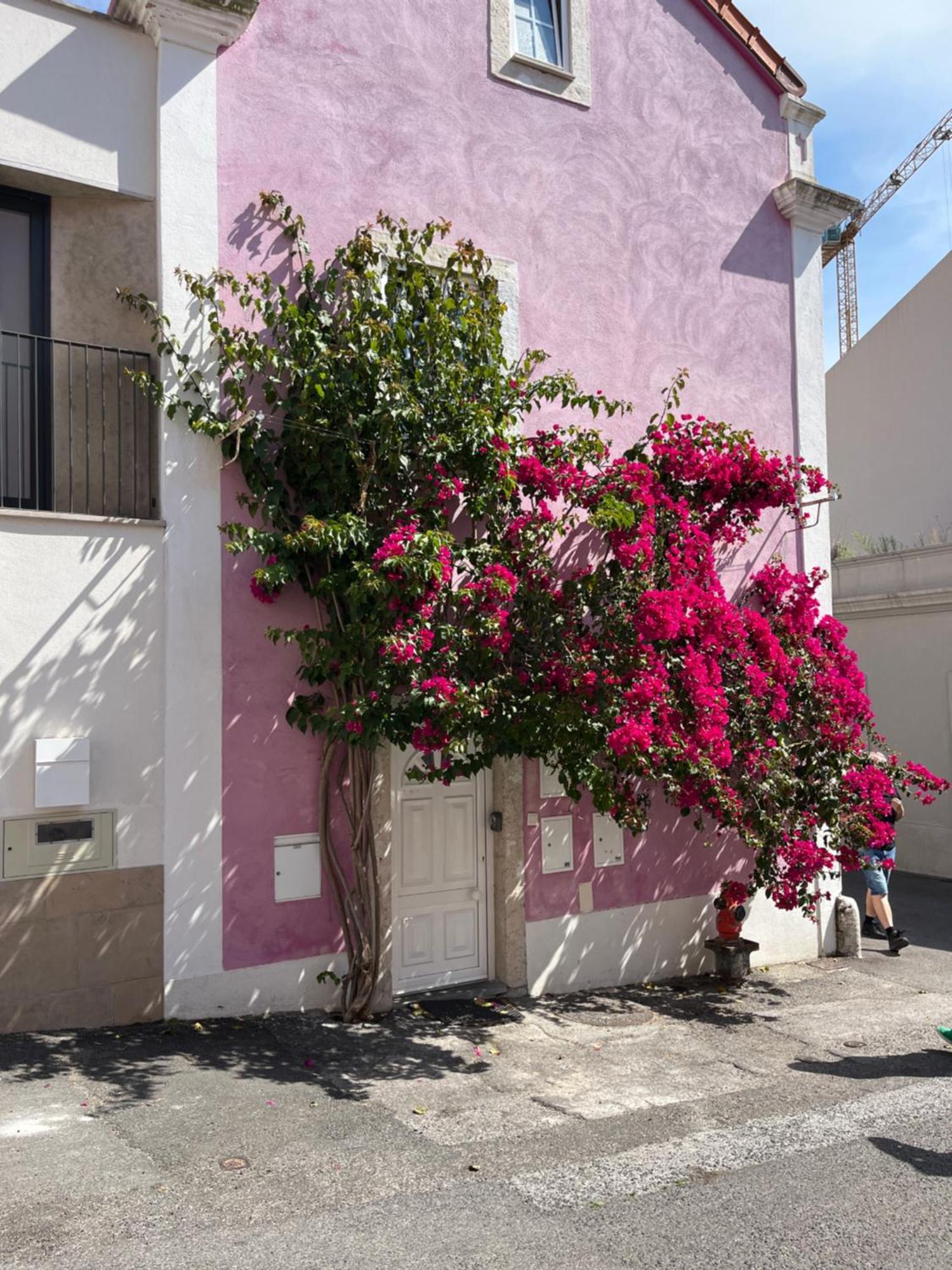 Casa Cor De Rosa Apartment Lisboa Ngoại thất bức ảnh
